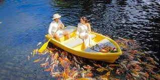 Ubud: Private Romantic Photo Cruise with Food and Drinks, Ubud