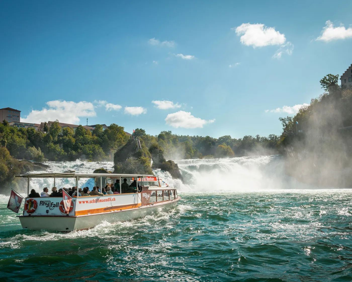 Rhine Falls: Brunch & Waterpower Cruise, Lucerne