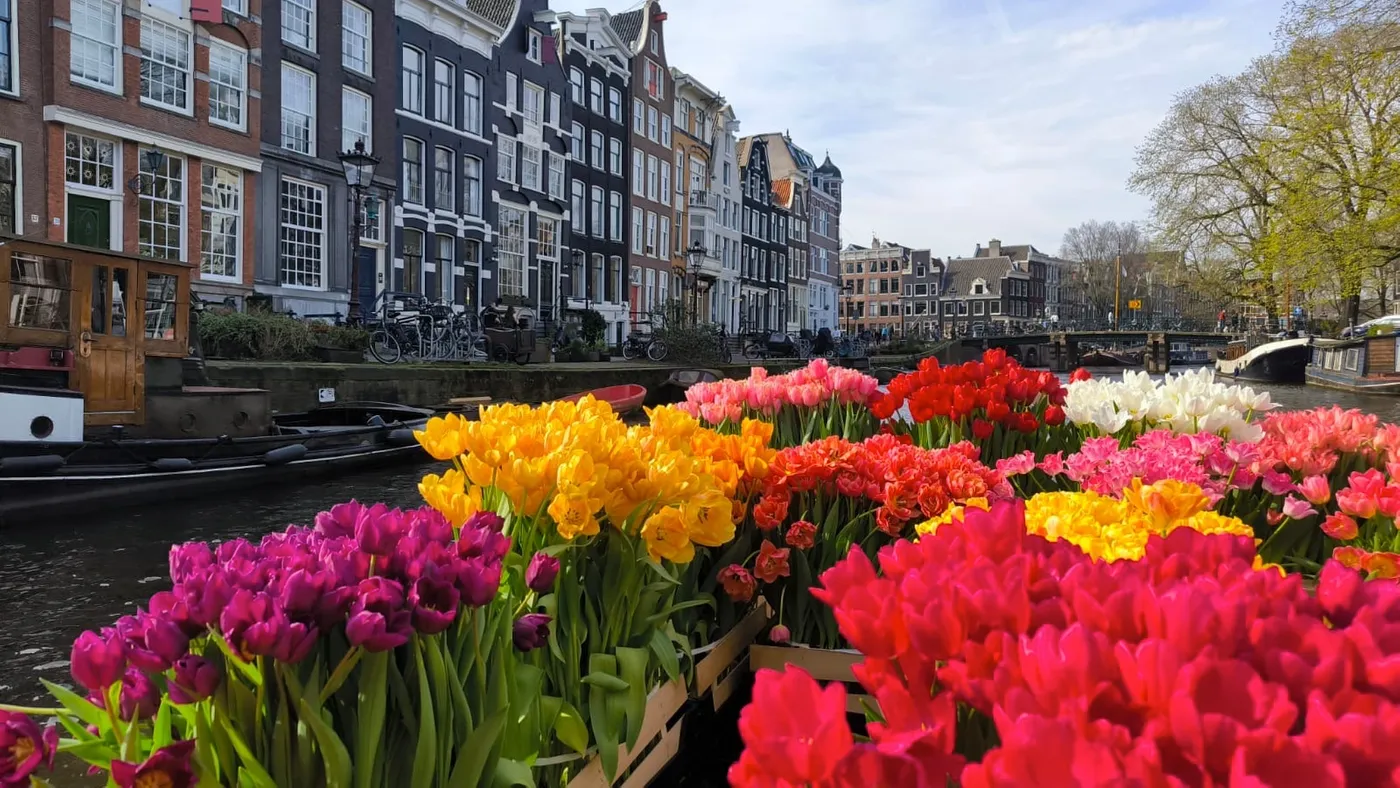 Amsterdam: Exclusive Tulip Canal Escape, Amsterdam