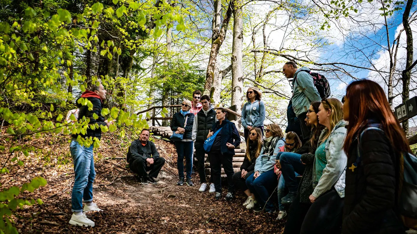 Zagreb to Plitvice: Nature's Masterpiece Tour, Zagreb