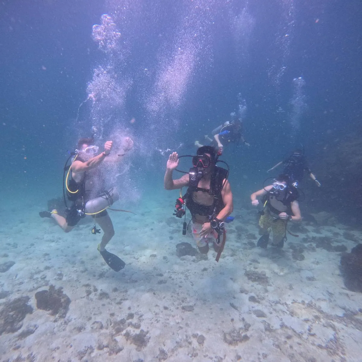 Phu Quoc: First Dive into Underwater Wonders, Phu Quoc