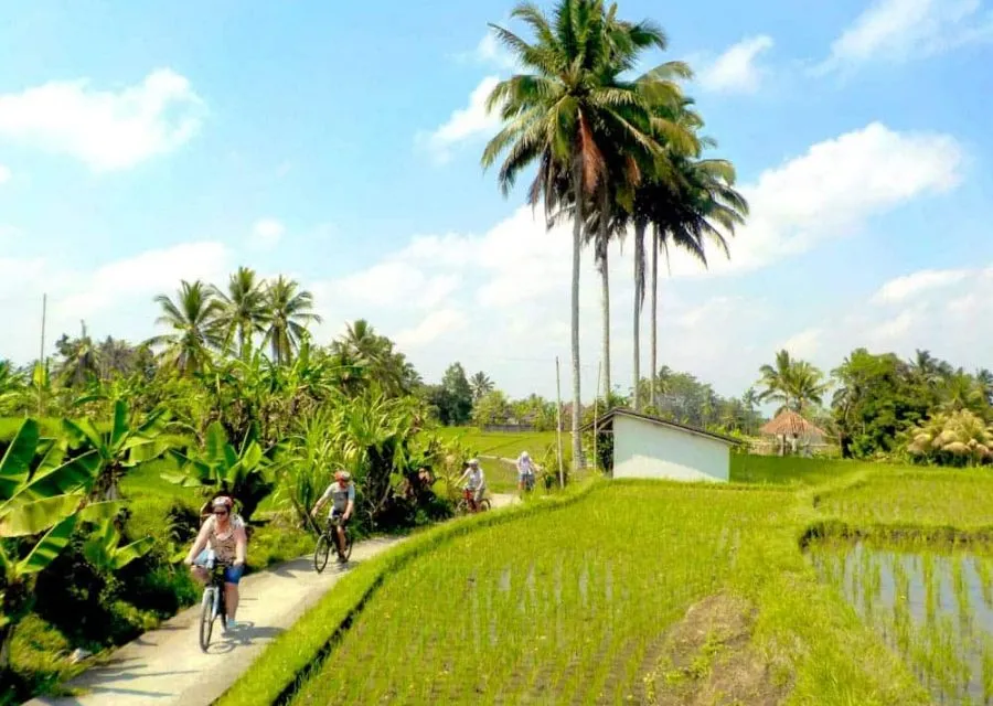 Ubud: Scenic E-Bike Adventure & Cultural Discoveries, Ubud