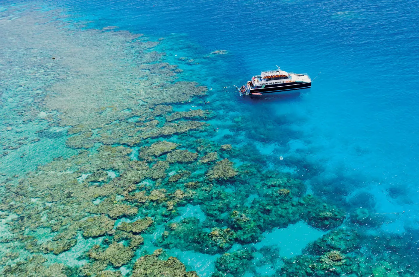 Cairns: Great Barrier Reef Snorkel or Scuba Adventure, Cairns