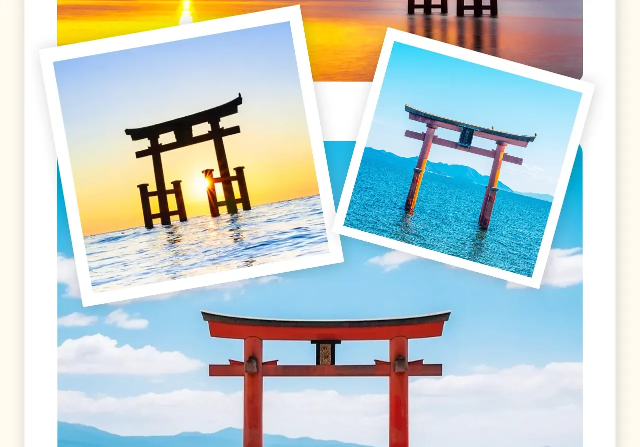 Kyoto & Shiga: Serenity & Heritage Day Trip, Kyoto