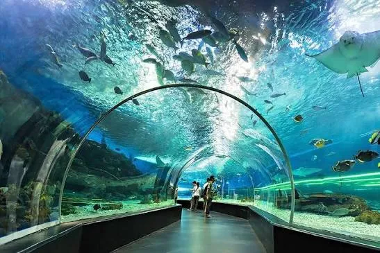 Manila Ocean Park: Marine Wonderland Adventure, Manila