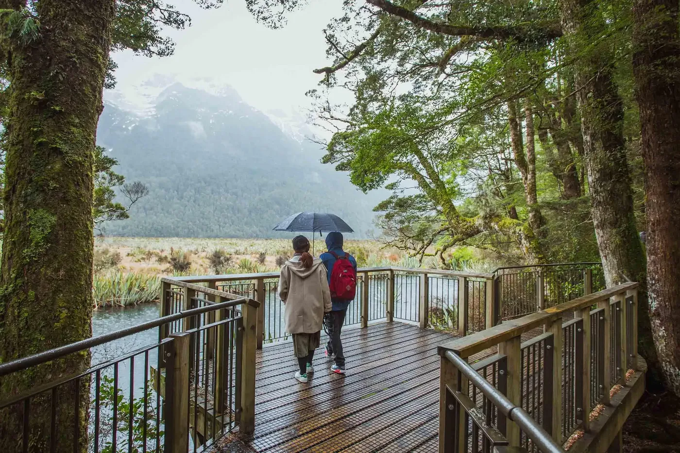 Queenstown: Milford Sound Wilderness Escape, Queenstown