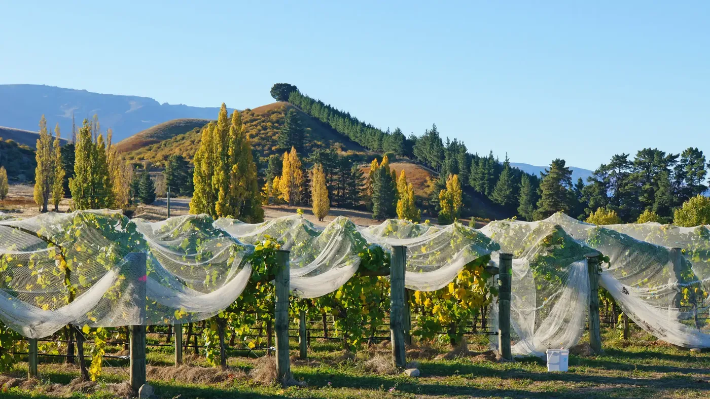 Queenstown: Private Explorer to Wanaka & Arrowtown, Queenstown