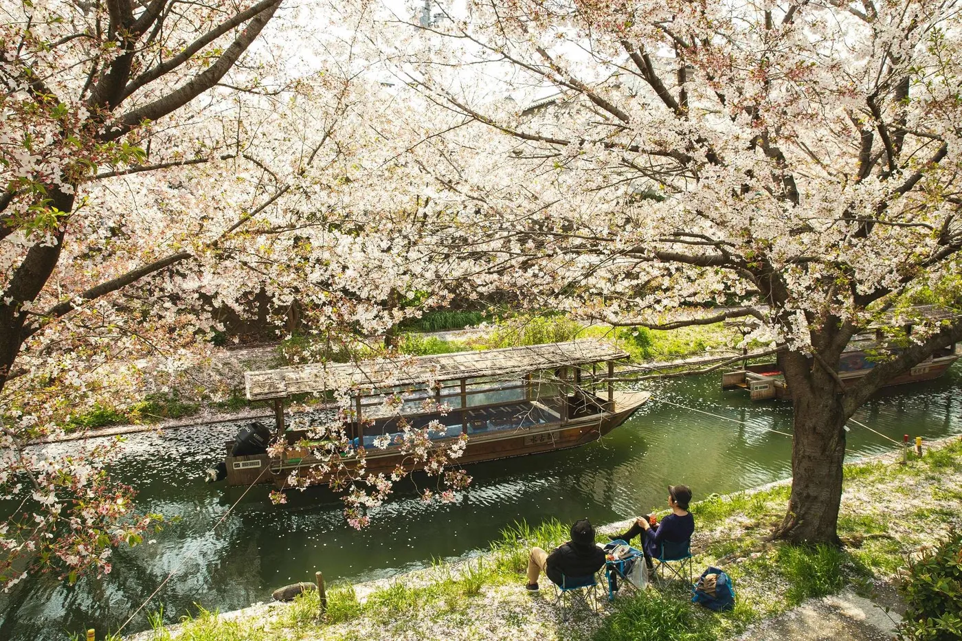 Kyoto: Fushimi Sake & Canal Heritage Tour, Kyoto