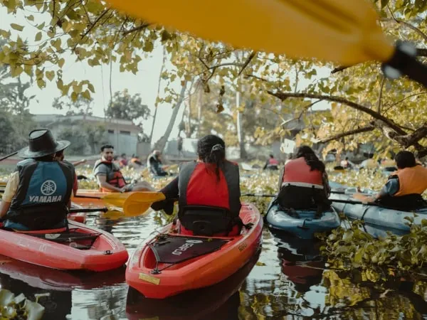 Backwater Kayaking, Alleppey