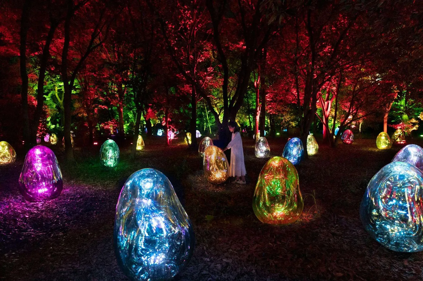Osaka: teamLab Botanical Night Escape, Osaka