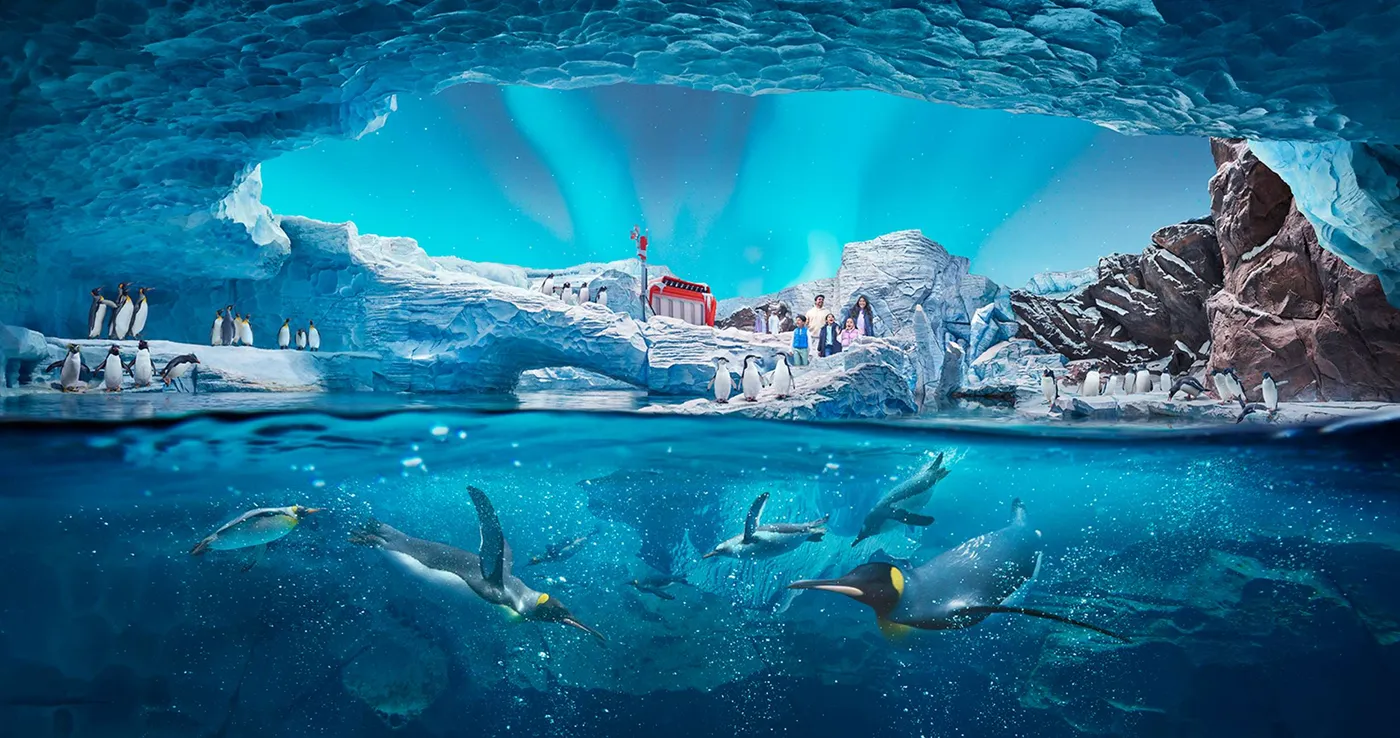 Abu Dhabi Sea World Entry Ticket, Abu Dhabi