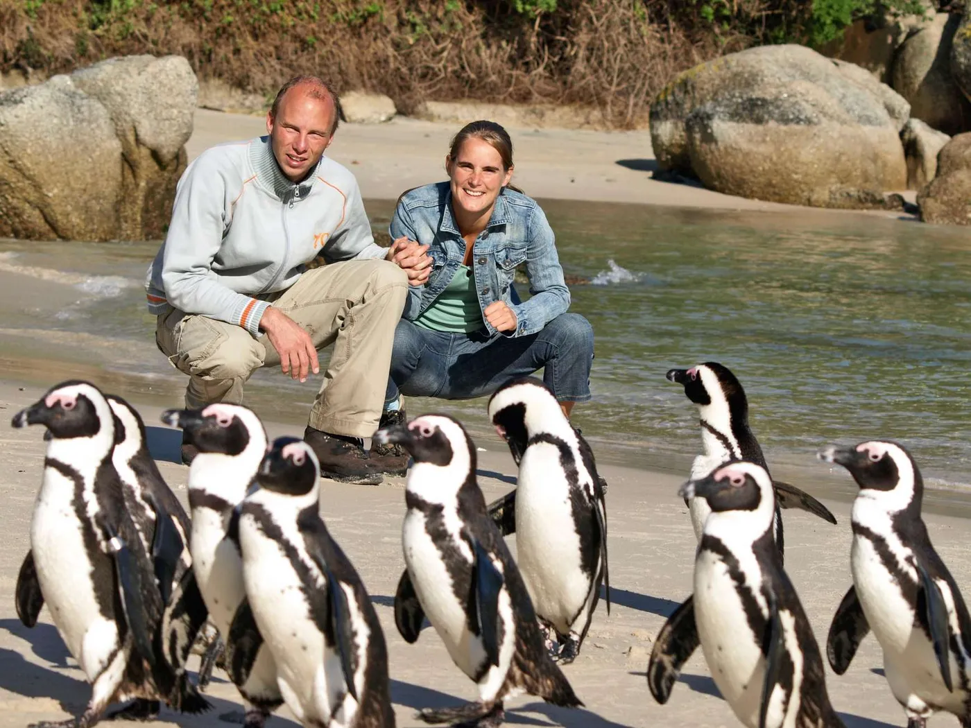 Cape Town: Coastal Wonders & Penguins Adventure, Cape Town