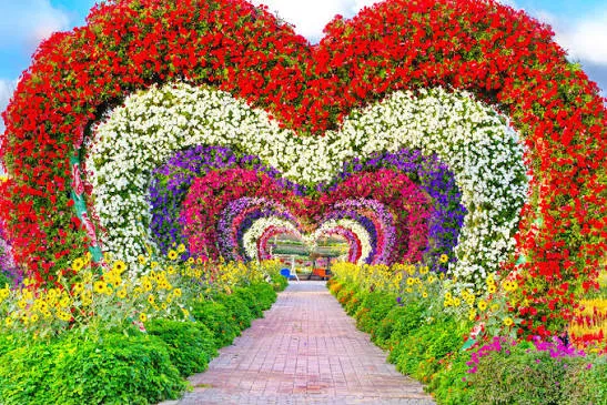 Dubai Miracle Garden: Blooming Wonderland, Dubai