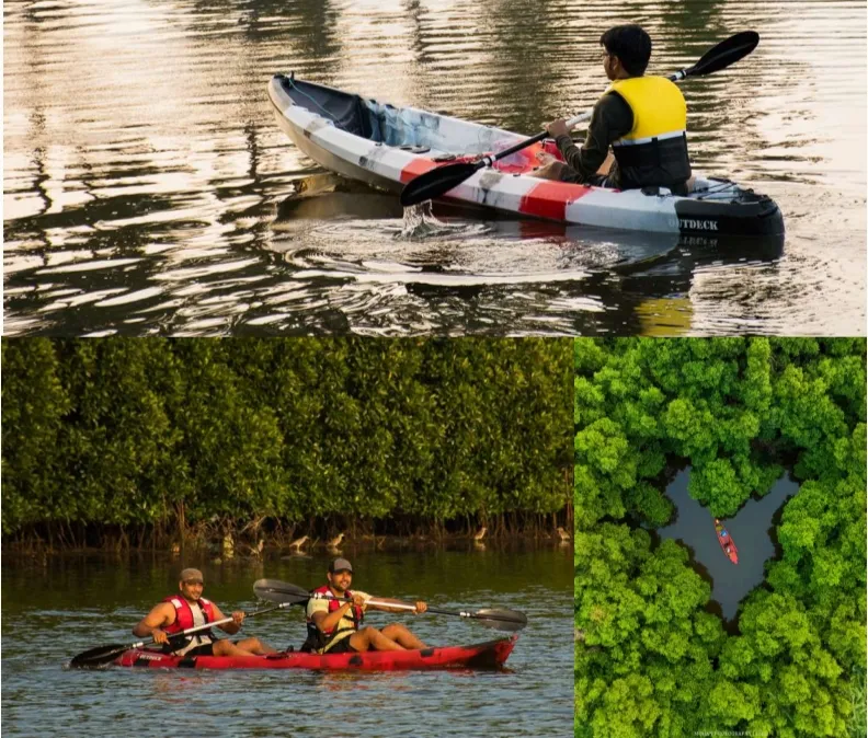 Pondicherry Mangrove Sunrise Kayaking Adventure, Pondicherry