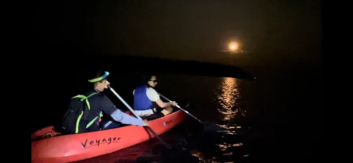 Havelock Night Kayaking: Bioluminescent Escape, Havelock