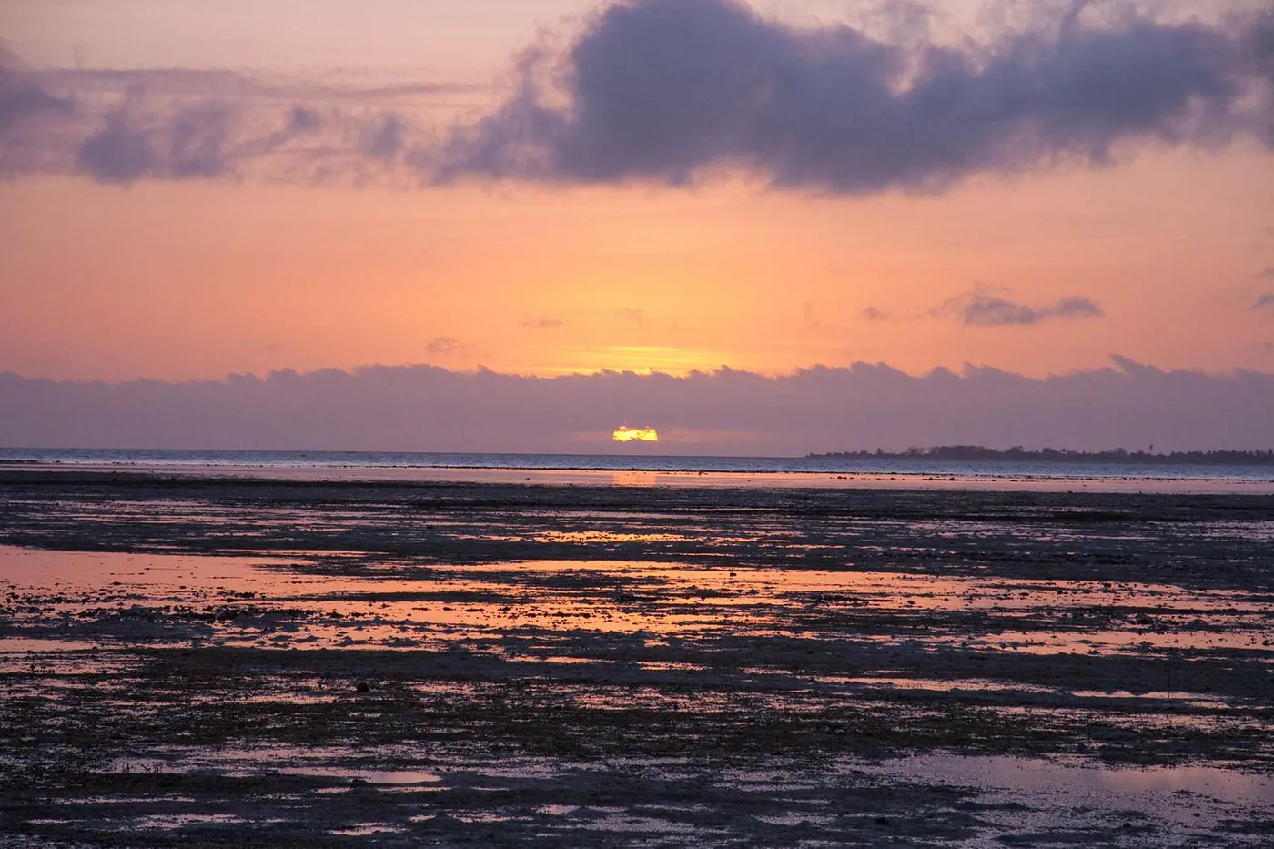 Puerto Princesa: Enchanting Firefly Bay Cruise, Puerto Princesa