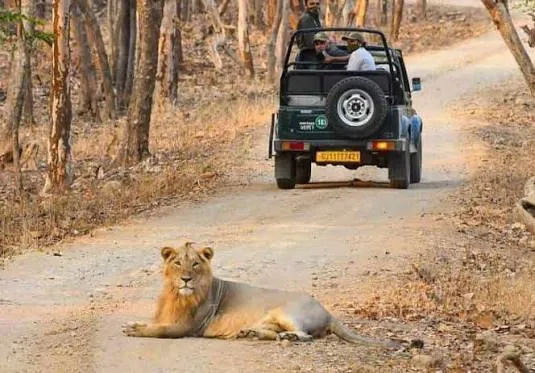 Gir Jeep Safari, Gir National Park