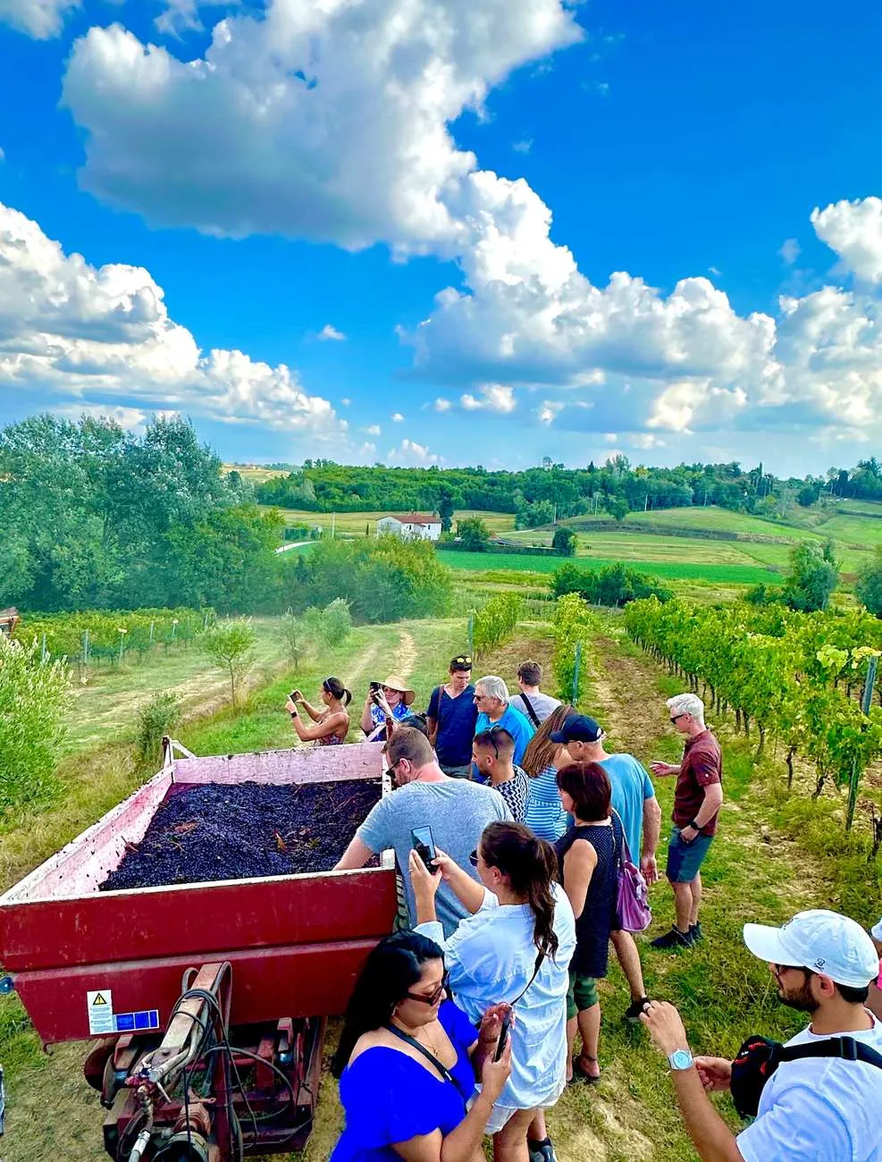 Florence: Tuscan Countryside & Culinary Escape, Florence