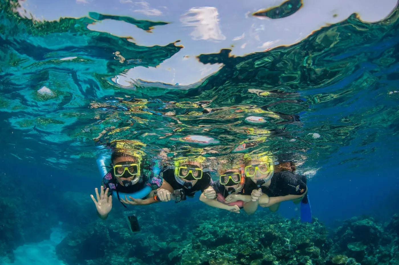 Cairns: Vibrant Reef Adventure & Dive, Cairns