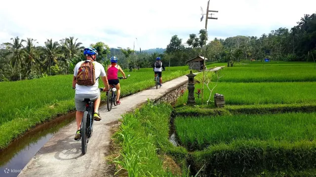 Ninh Binh: E-Bike Adventure & Rural Serenity