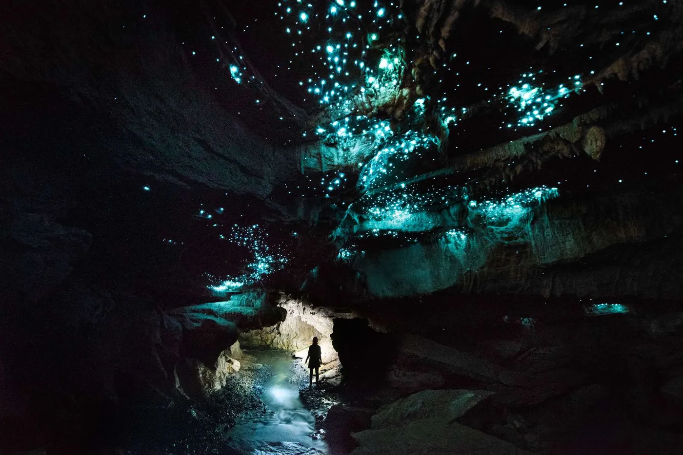 Waitomo: Glowworm Cave Exploration Adventure, Auckland