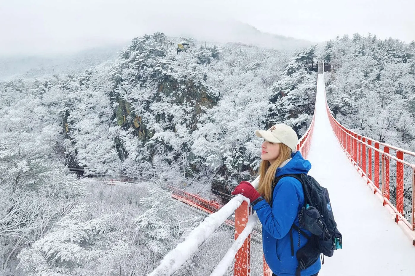 Seoul: DMZ & Hidden War Secrets Tour, Seoul