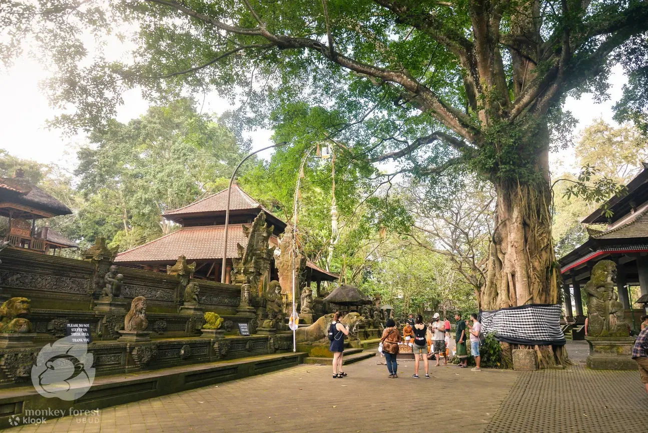 Ubud: Sacred Monkey Forest Adventure, Ubud