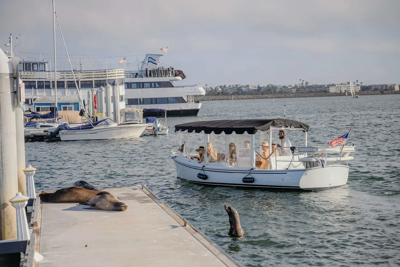 LA Marina: Elegant Sea Escape & Wildlife, Los Angeles