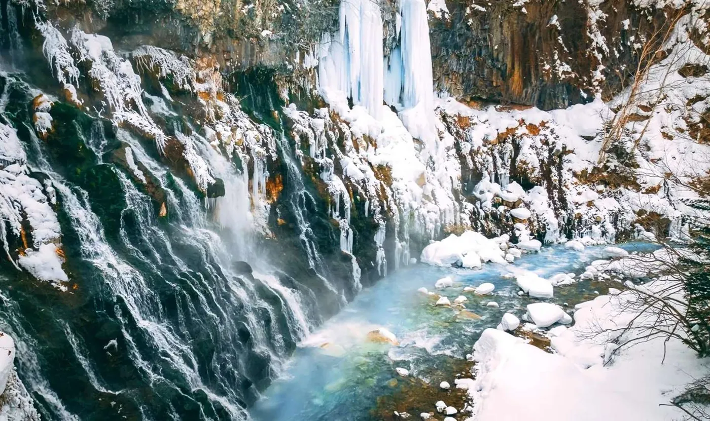 Hokkaido: Enchanting Nature & Wildlife Day Trip, Sapporo