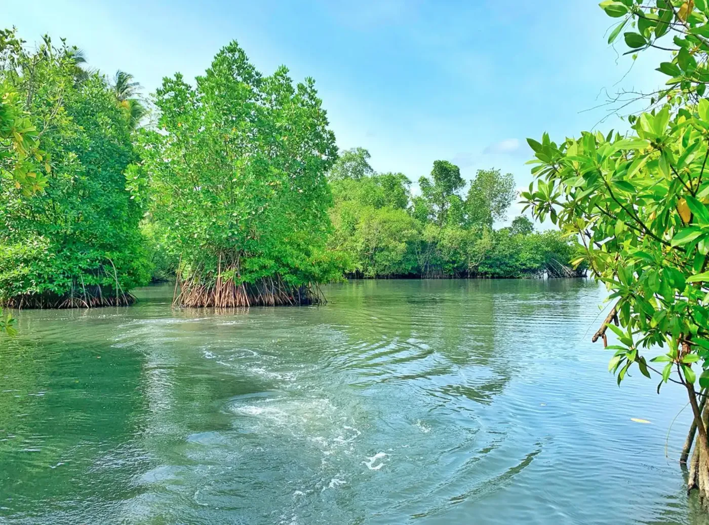 Galle: Koggala Lake Wildlife & Culture Adventure, Galle