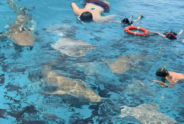 Maldives: Underwater Safari & Sandbank Escape