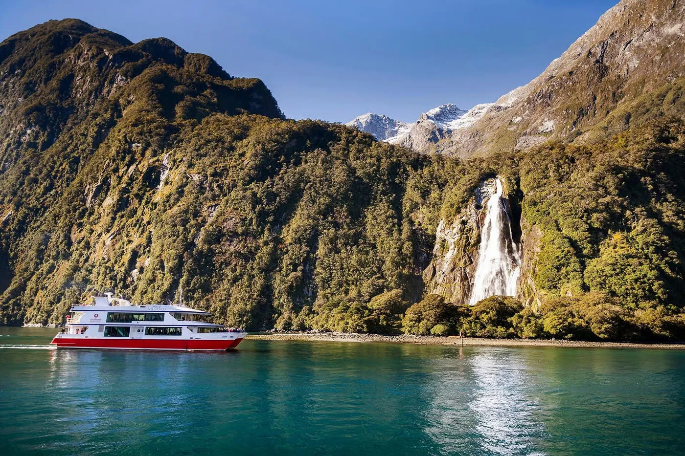 Queenstown: Milford Sound Scenic & Wildlife Adventure, Queenstown
