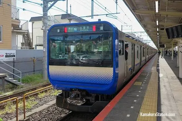 Tokyo-Kamakura: Scenic Roundtrip Adventure, Tokyo
