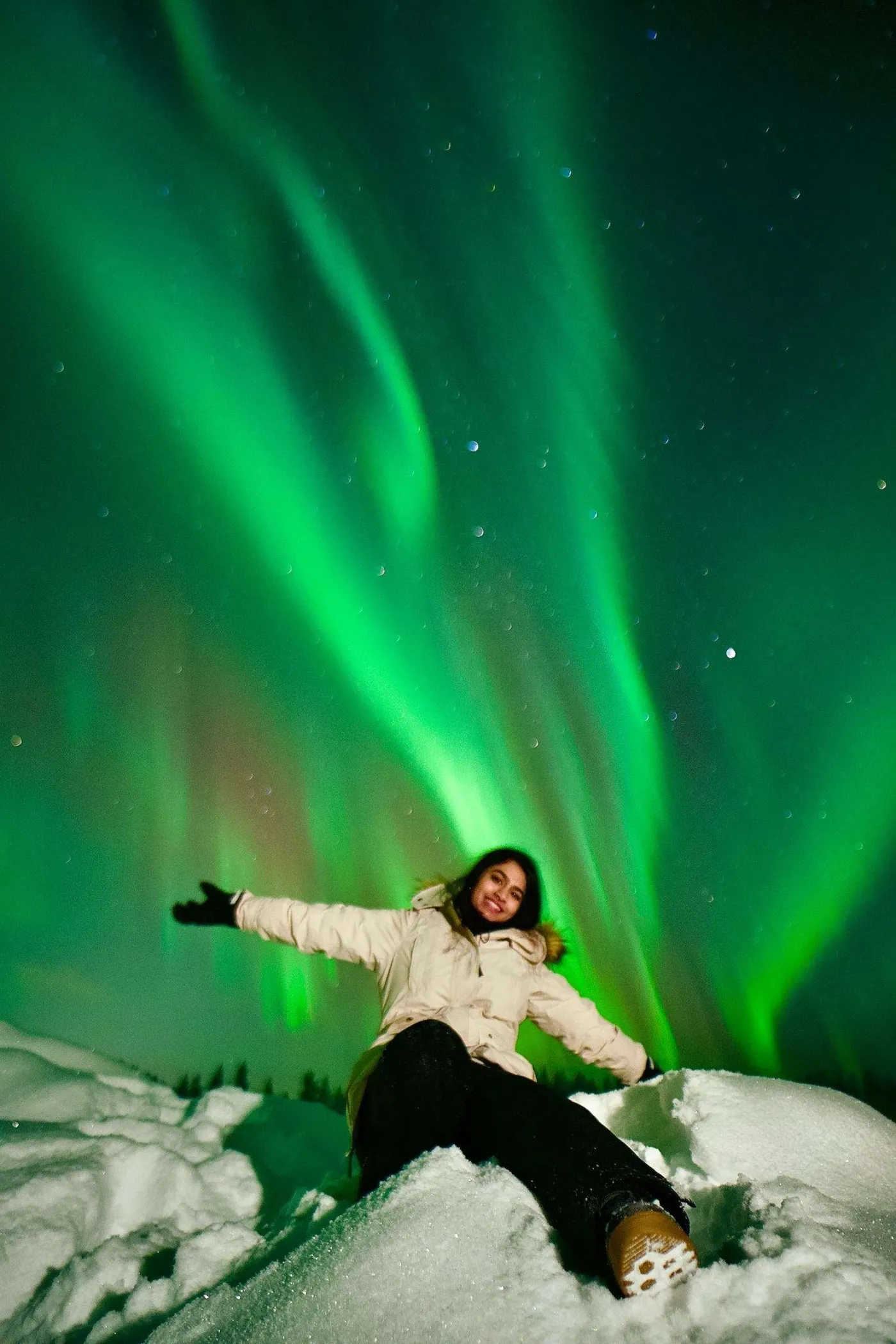 Rovaniemi: Aurora Chase & Photo Experience, Rovaniemi