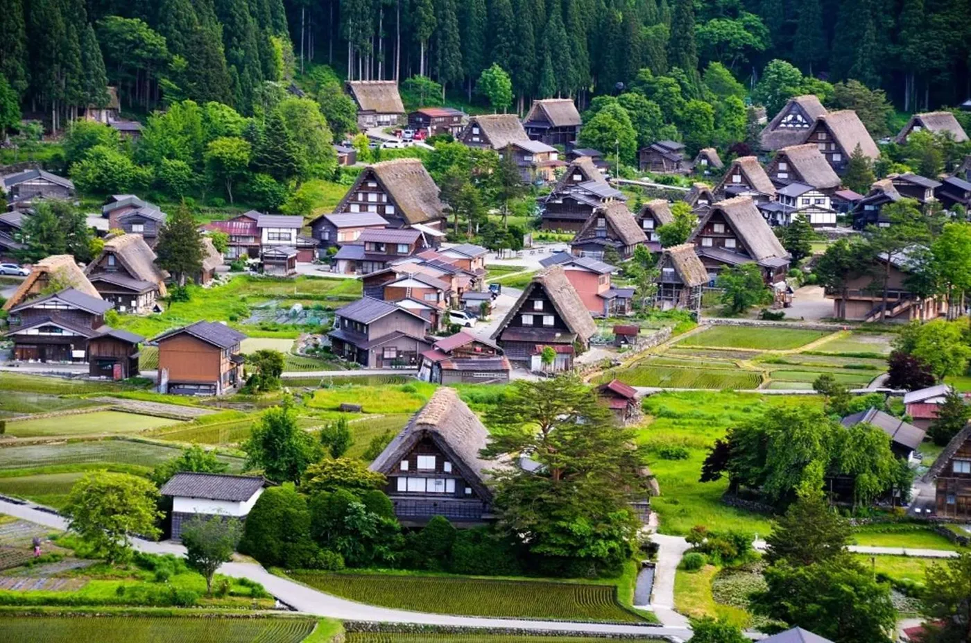 Takayama: Enchanting Shirakawago & Gokayama Escape, Takayama