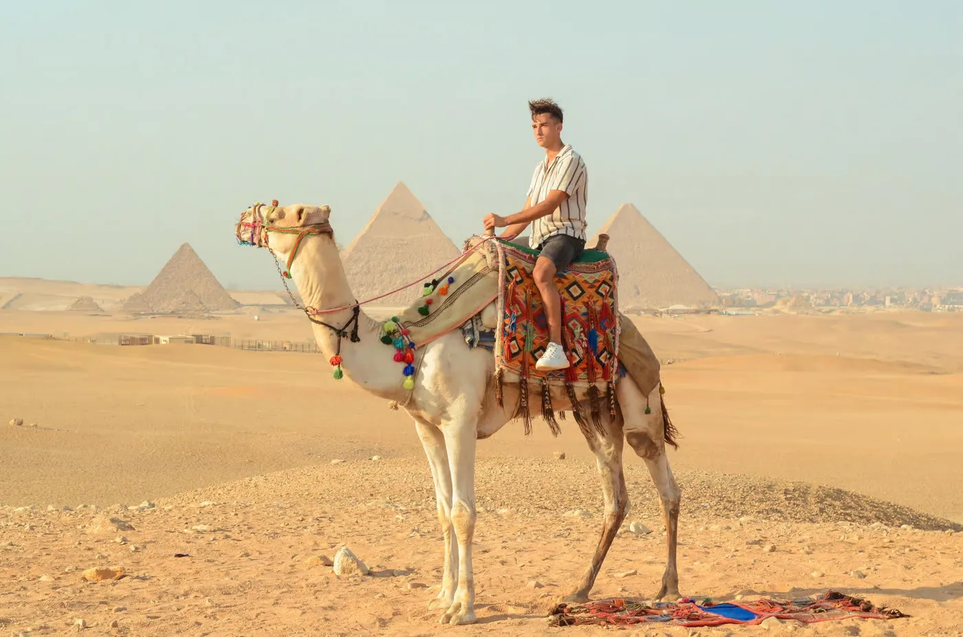 Giza Dawn: Pyramid & Camel Heritage Tour, Cairo