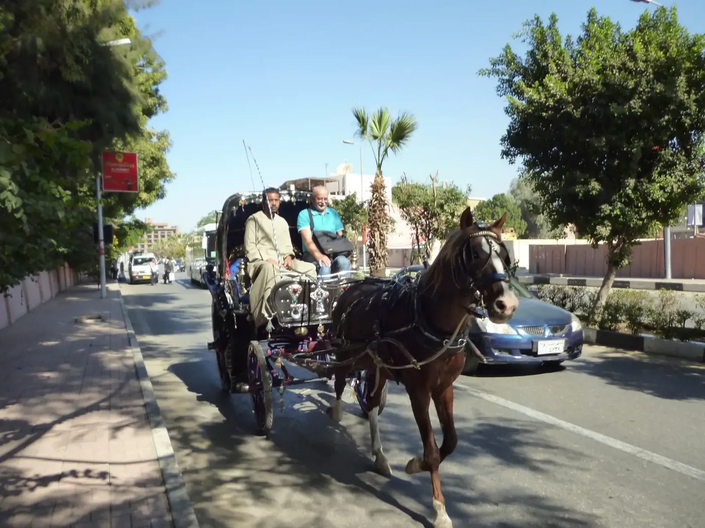 Luxor: Horse-Drawn City & Ancient Wonders Tour, Luxor