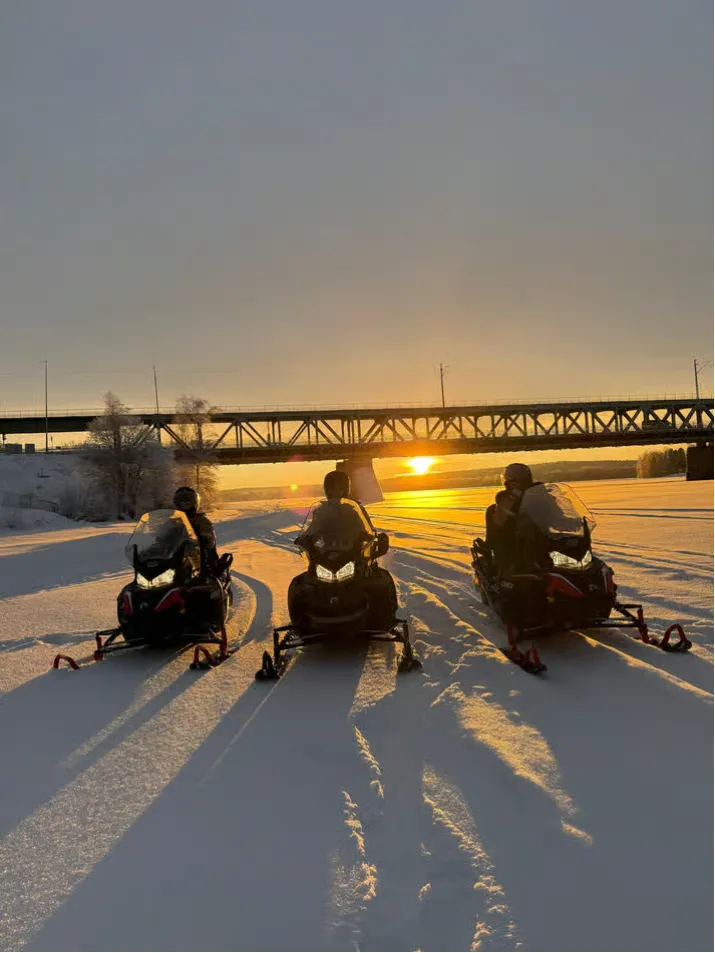 Rovaniemi: Arctic Snowmobile Safari Adventure, Rovaniemi