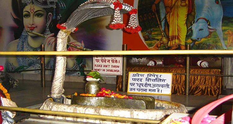 Check out Parad Shivling, Haridwar
