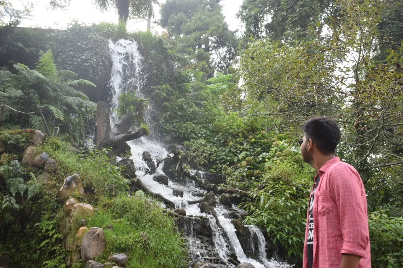 Check out Company Garden, Mussoorie