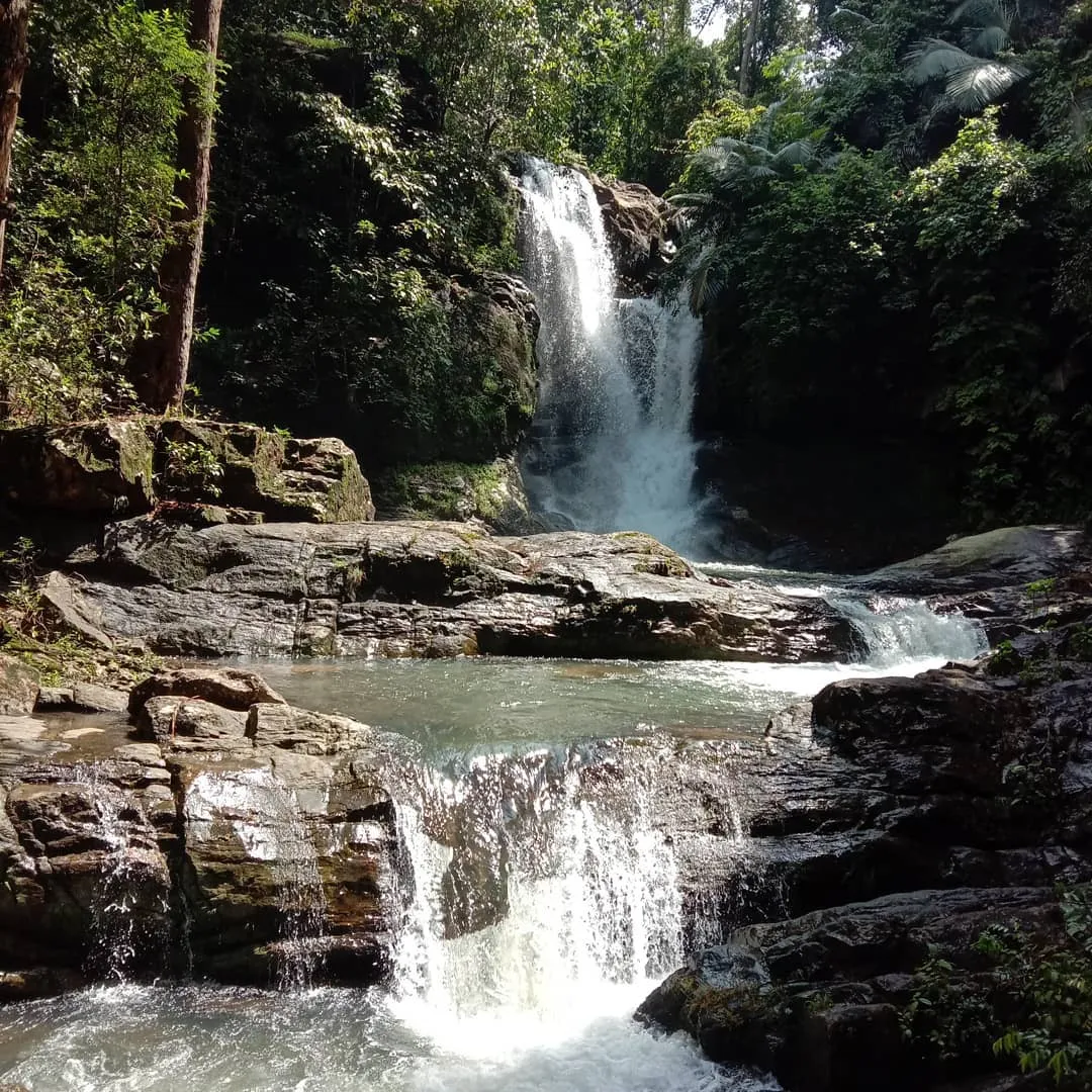 Explore Mankayam falls, Trivandrum
