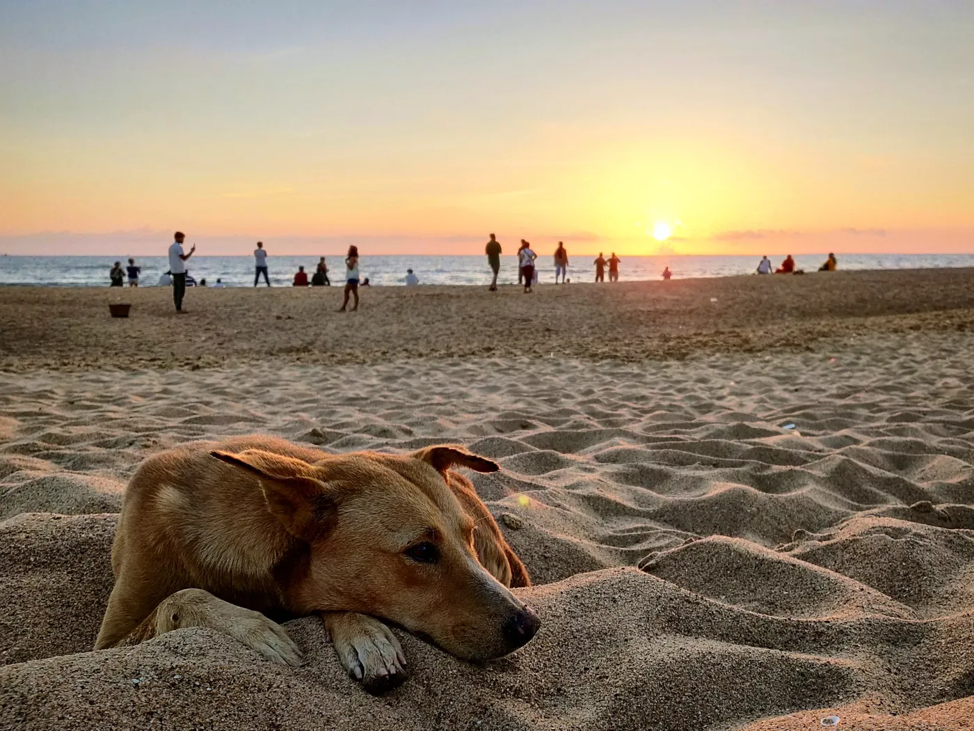 Candolim Beach, North Goa