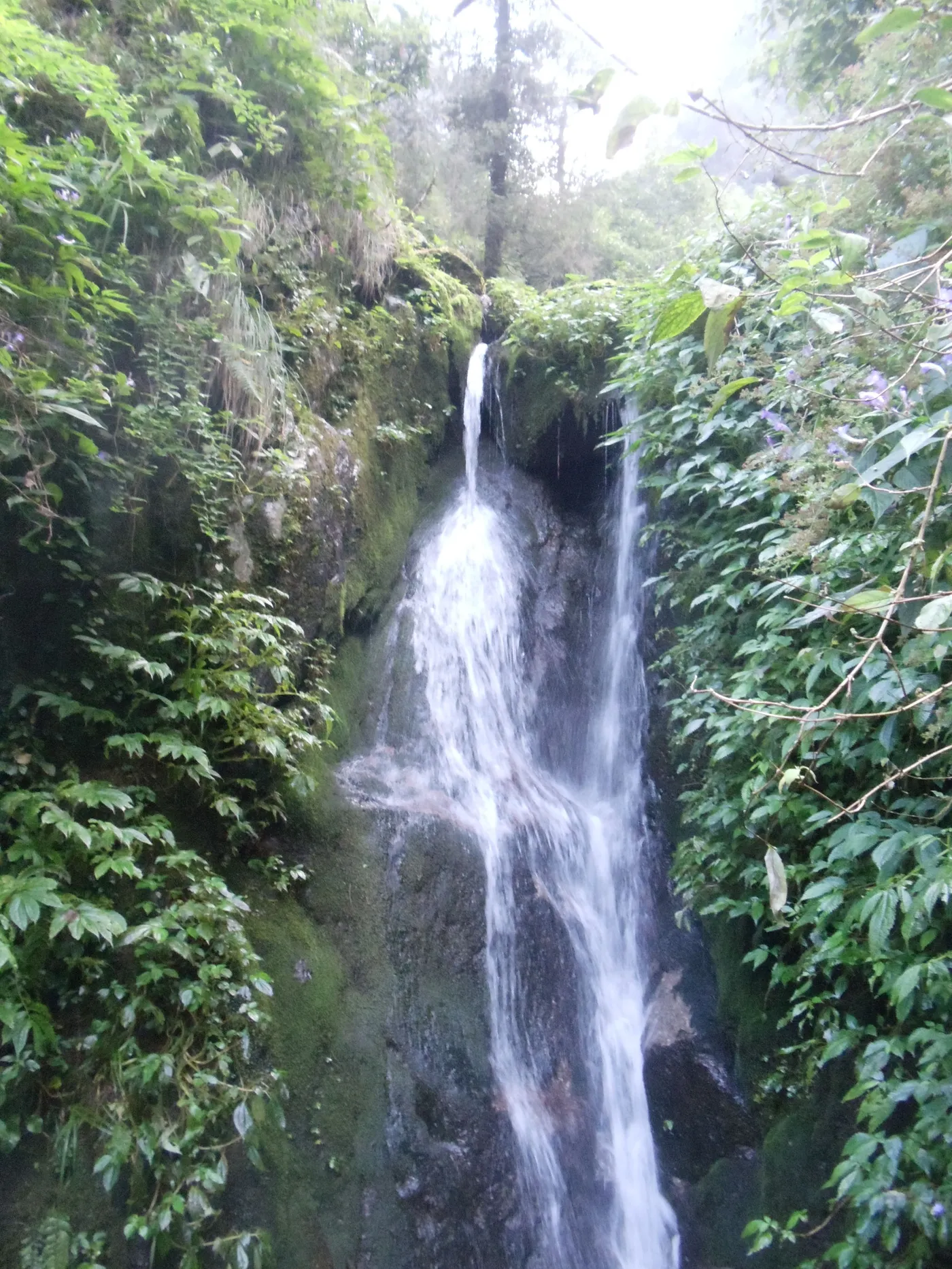 Check out Satdhara Falls, Dalhousie