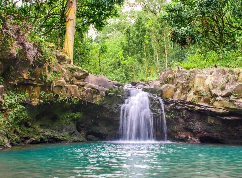 Check out Neer Garh Waterfall, Rishikesh