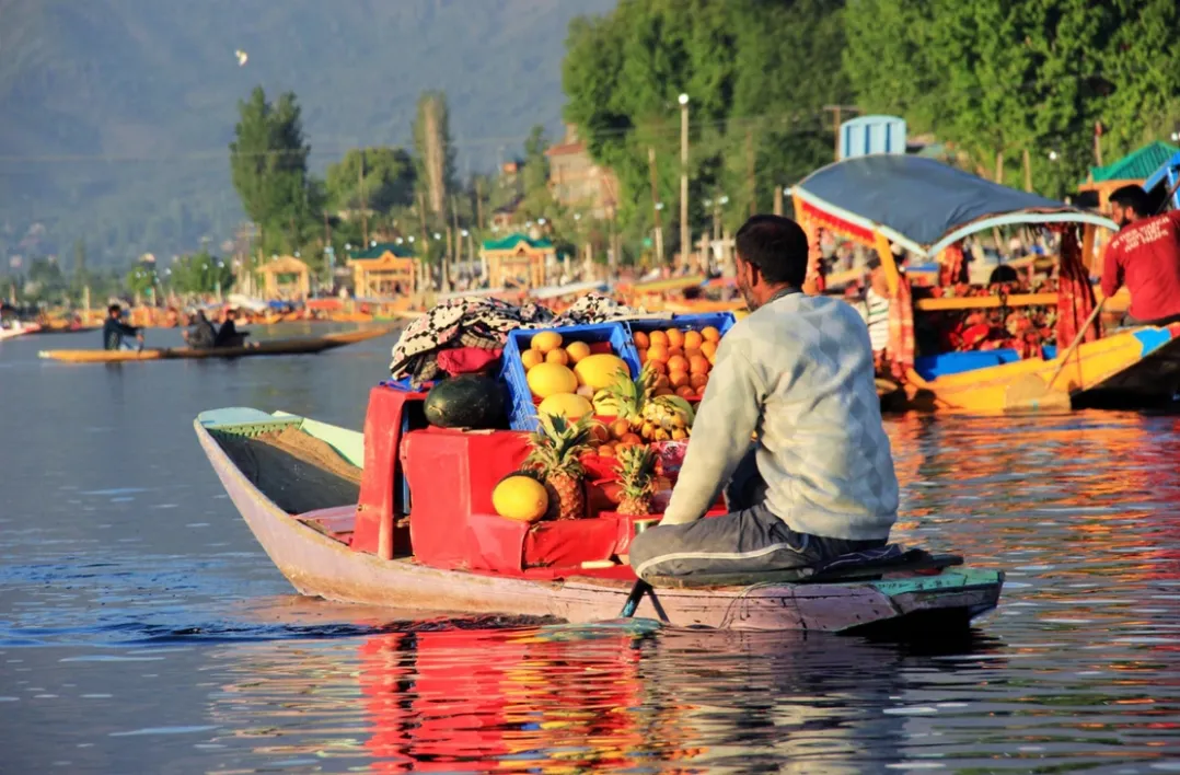Floating Vegetable Market, Srinagar