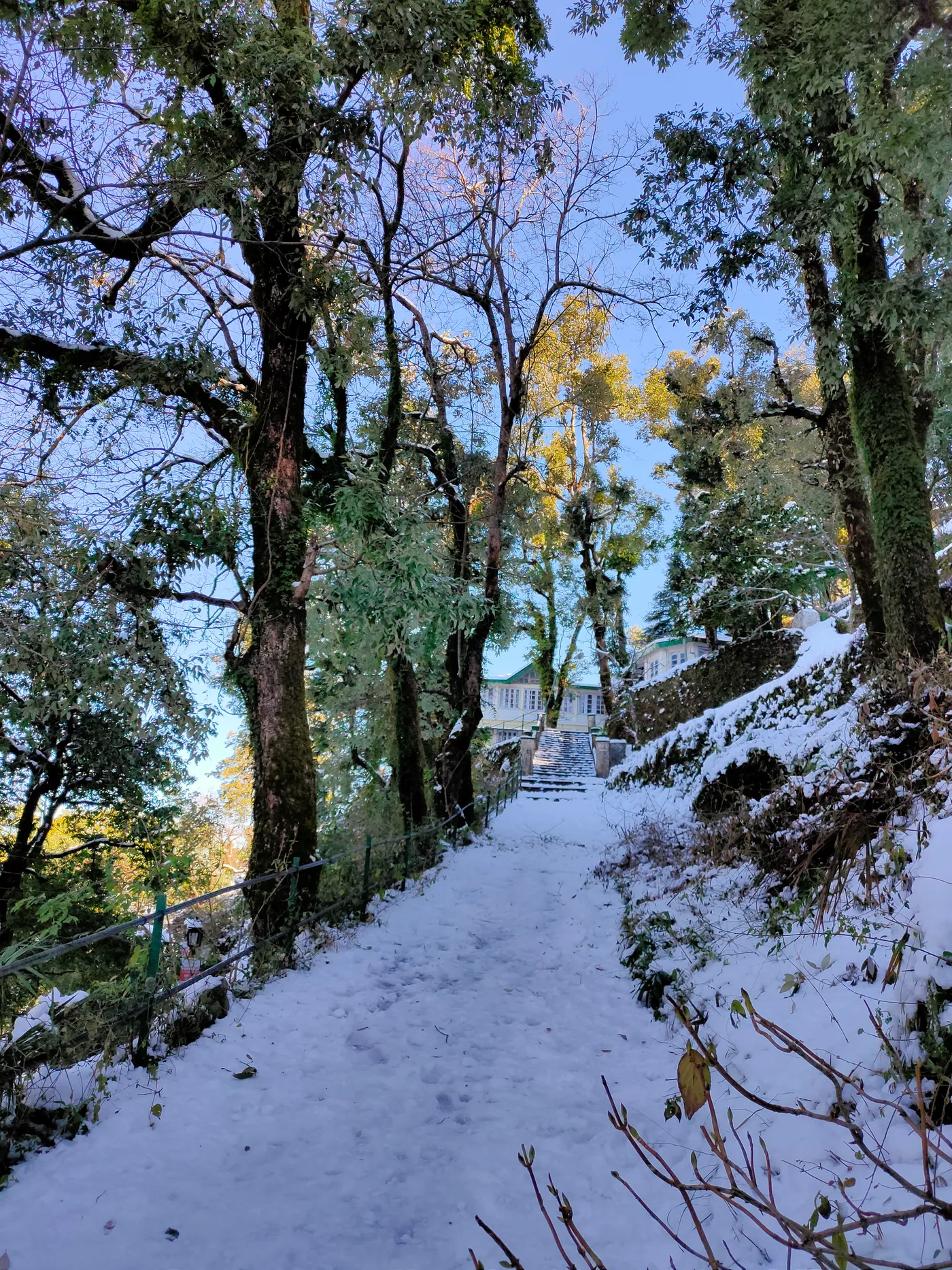 Camel's Back Road, Mussoorie