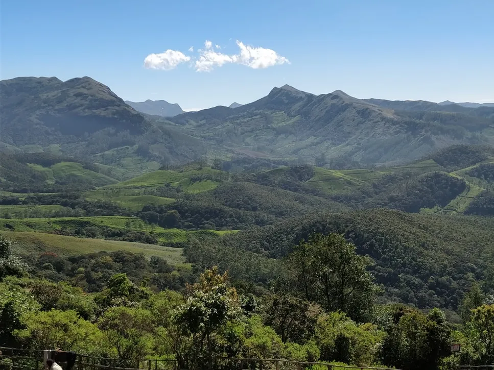 Explore wild slopes at  Eravikulam: Wilderness & Anamudi Peak Adventure, Munnar