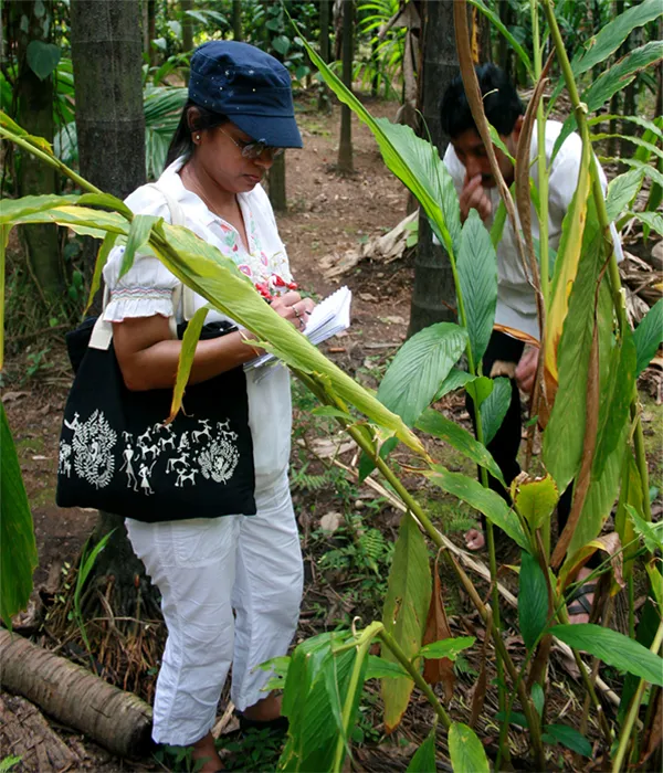 Check out Sahakari Spice Farm, South Goa
