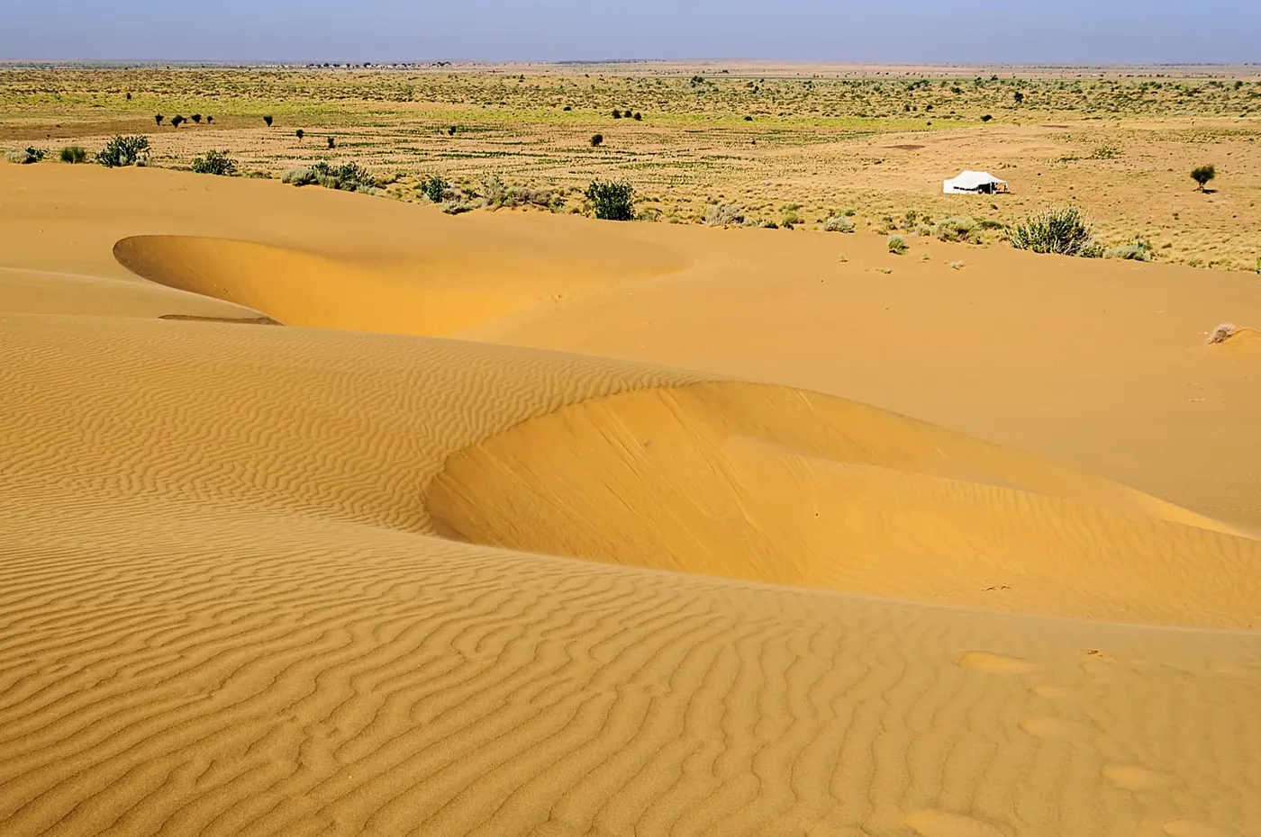 Desert National Park, Jaisalmer