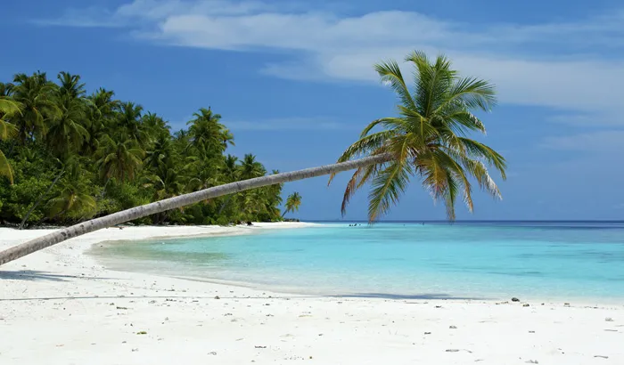 Shaheed Island: Tranquil Nature & Reef Adventure, Neil Island